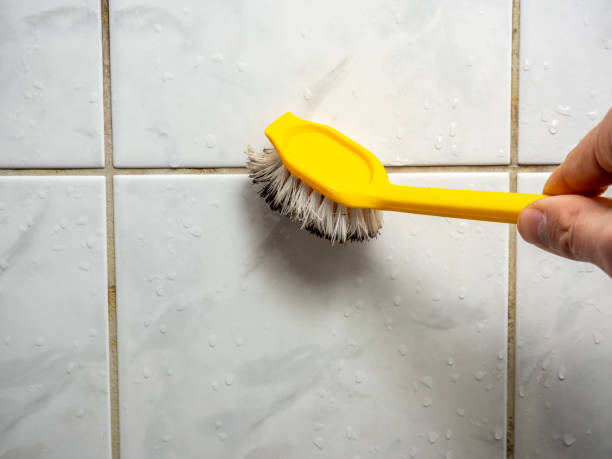 Best Fast Mold Removal  in Rochester, PA